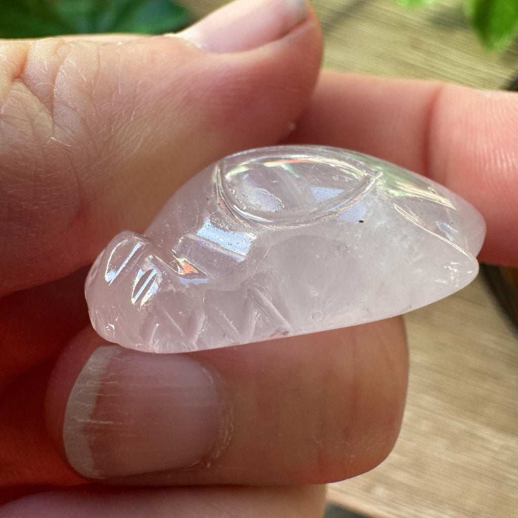 Tiny Rose Quartz Leandro De Souza Dragon Skull