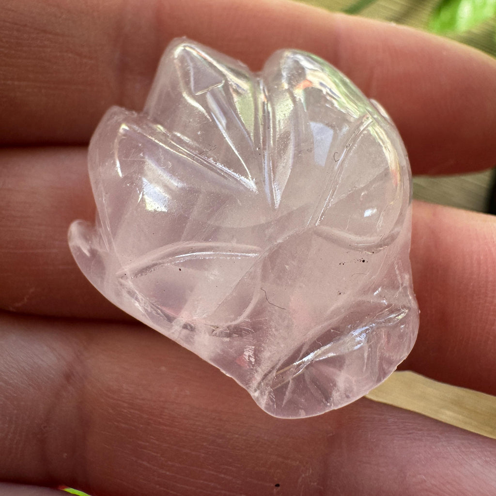 Tiny Rose Quartz Leandro De Souza Dragon Skull