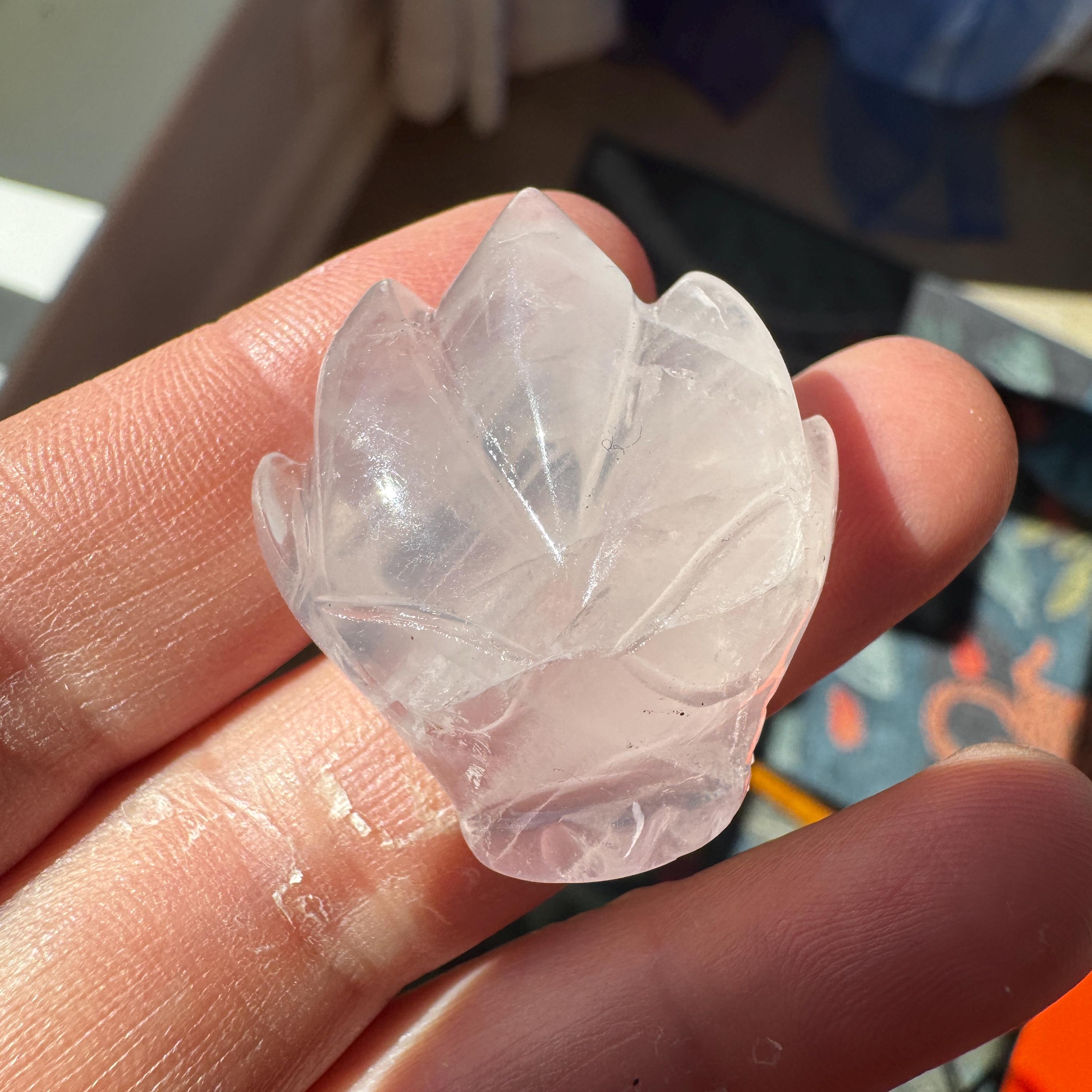 Tiny Rose Quartz Leandro De Souza Dragon Skull