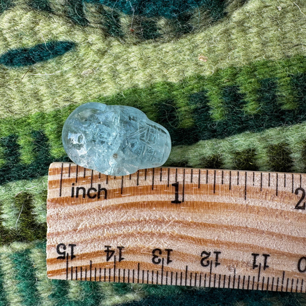 Aquamarine Igor De SouzaTiny Crystal Palm Skull