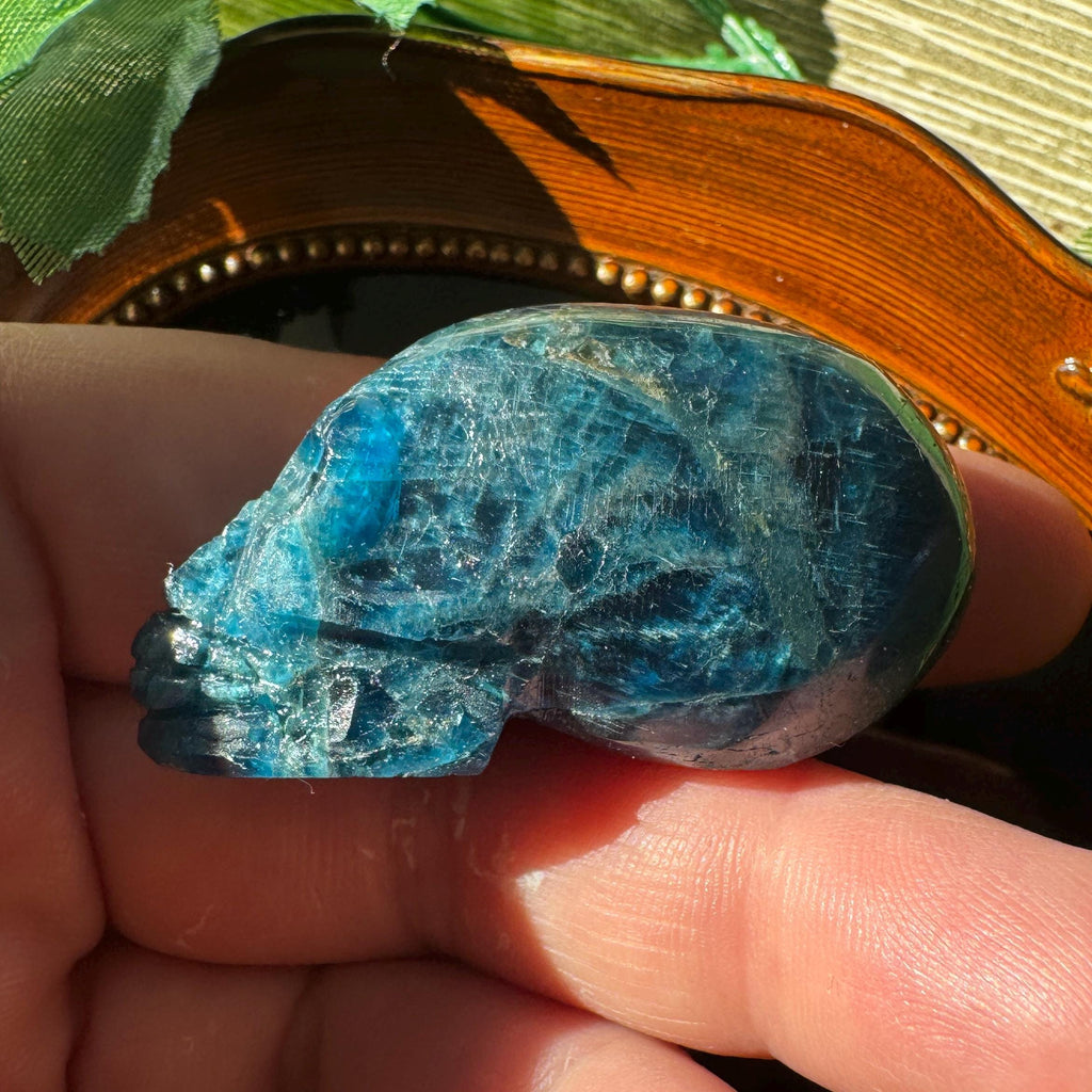 Blue Apatite Elongated Igor De Souza Crystal Skull