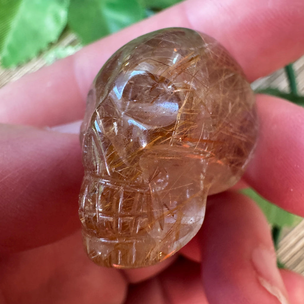 Golden Rutile Igor De Souza Crystal Skull