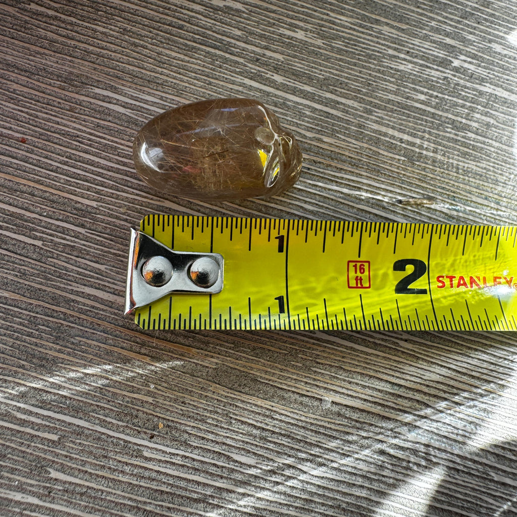 Golden Rutile Igor De Souza Crystal Skull
