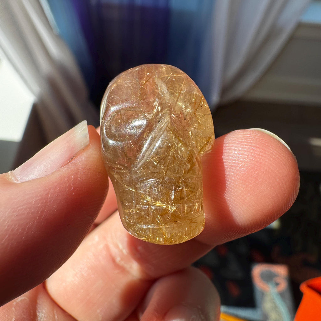 Golden Rutile Igor De Souza Crystal Skull