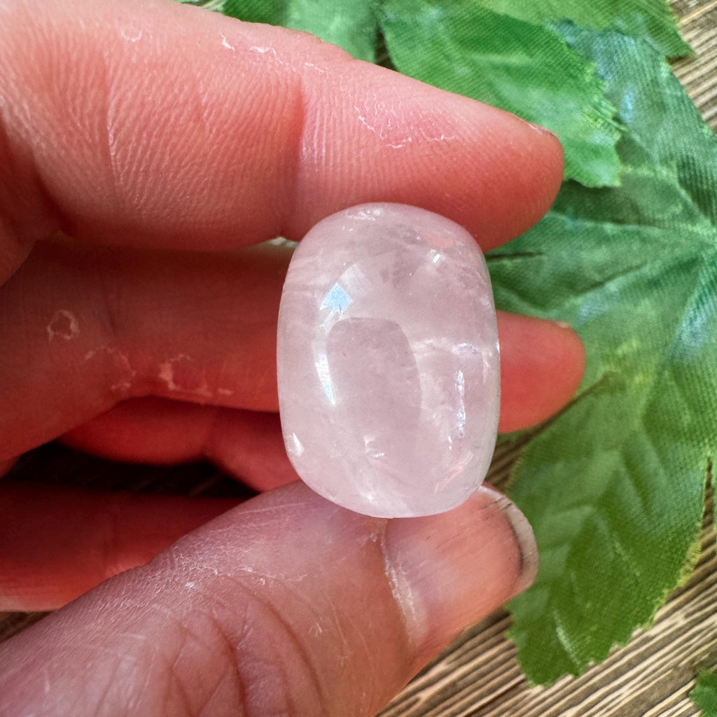 Rose Quartz Igor De Souza Crystal Skull