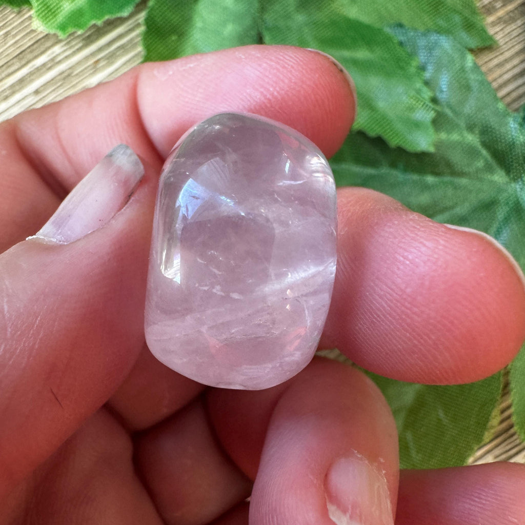 Rose Quartz Igor De Souza Crystal Skull