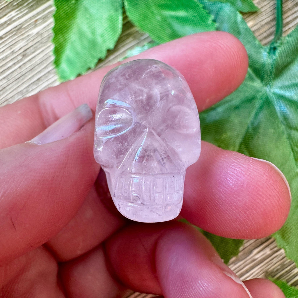 Rose Quartz Igor De Souza Crystal Skull
