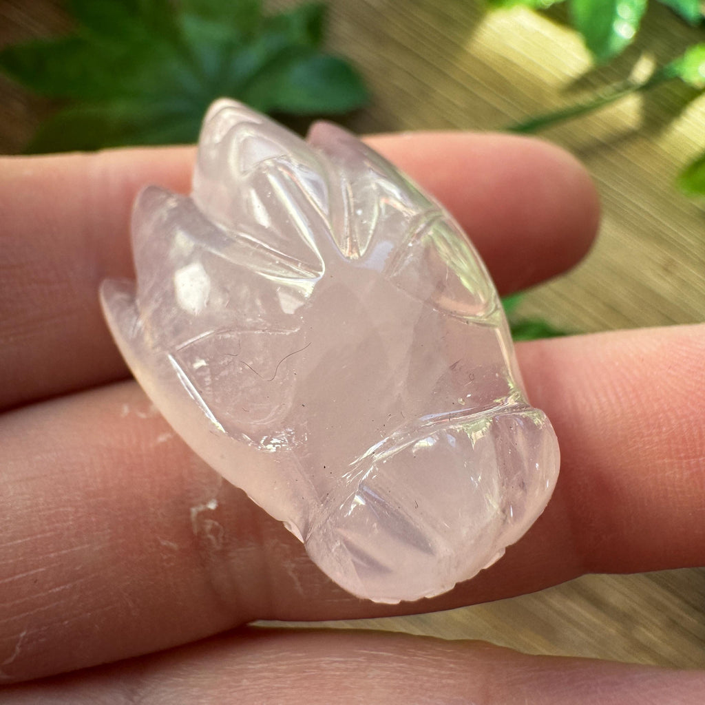 Tiny Rose Quartz Leandro De Souza Dragon Skull
