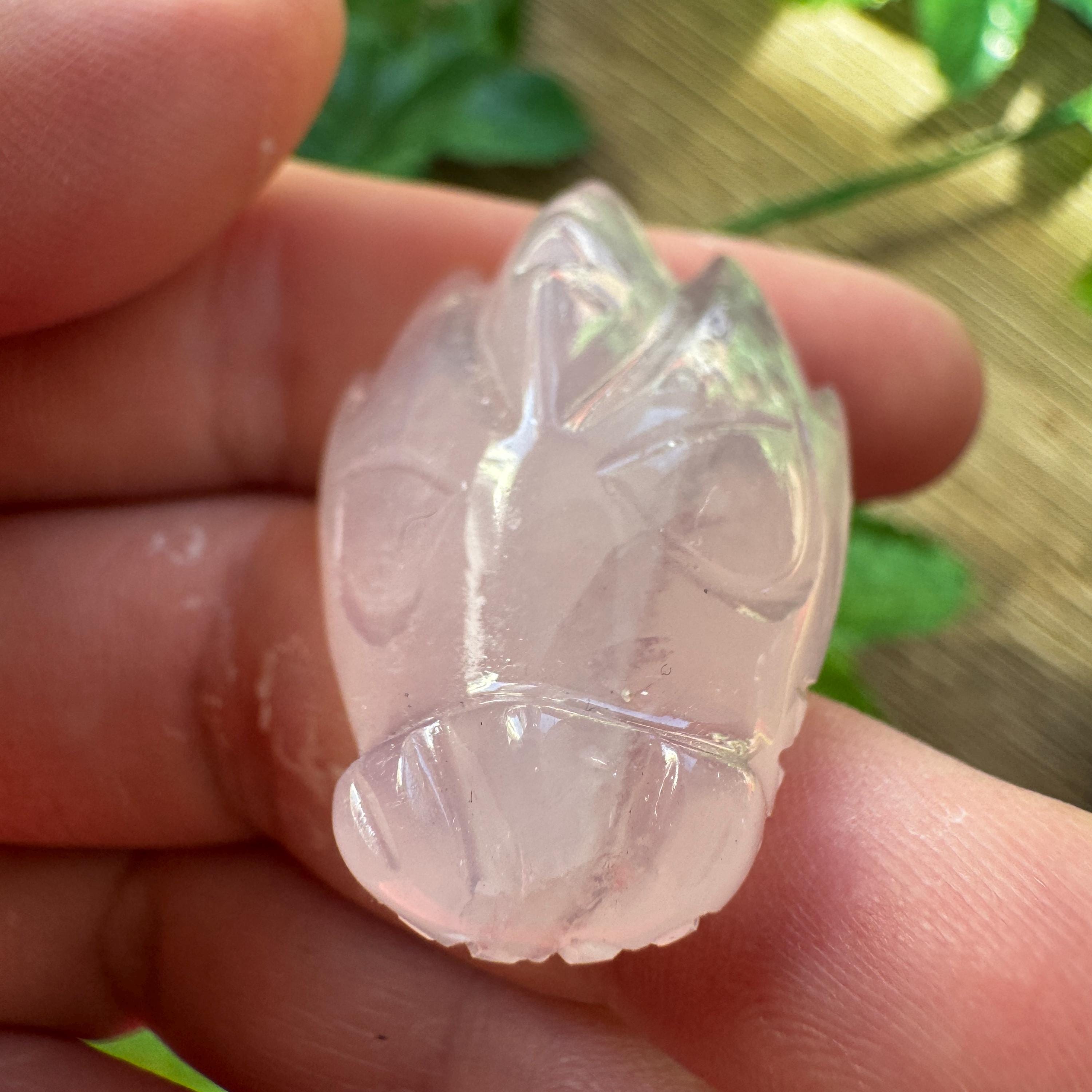 Tiny Rose Quartz Leandro De Souza Dragon Skull