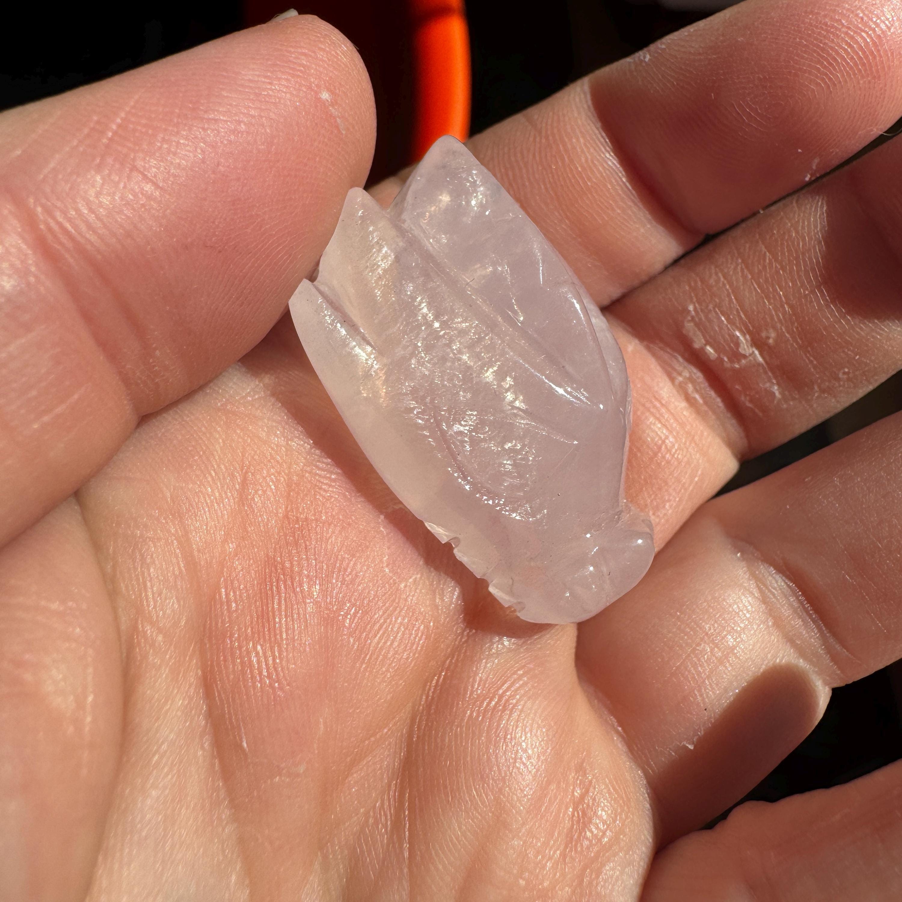 Tiny Rose Quartz Leandro De Souza Dragon Skull