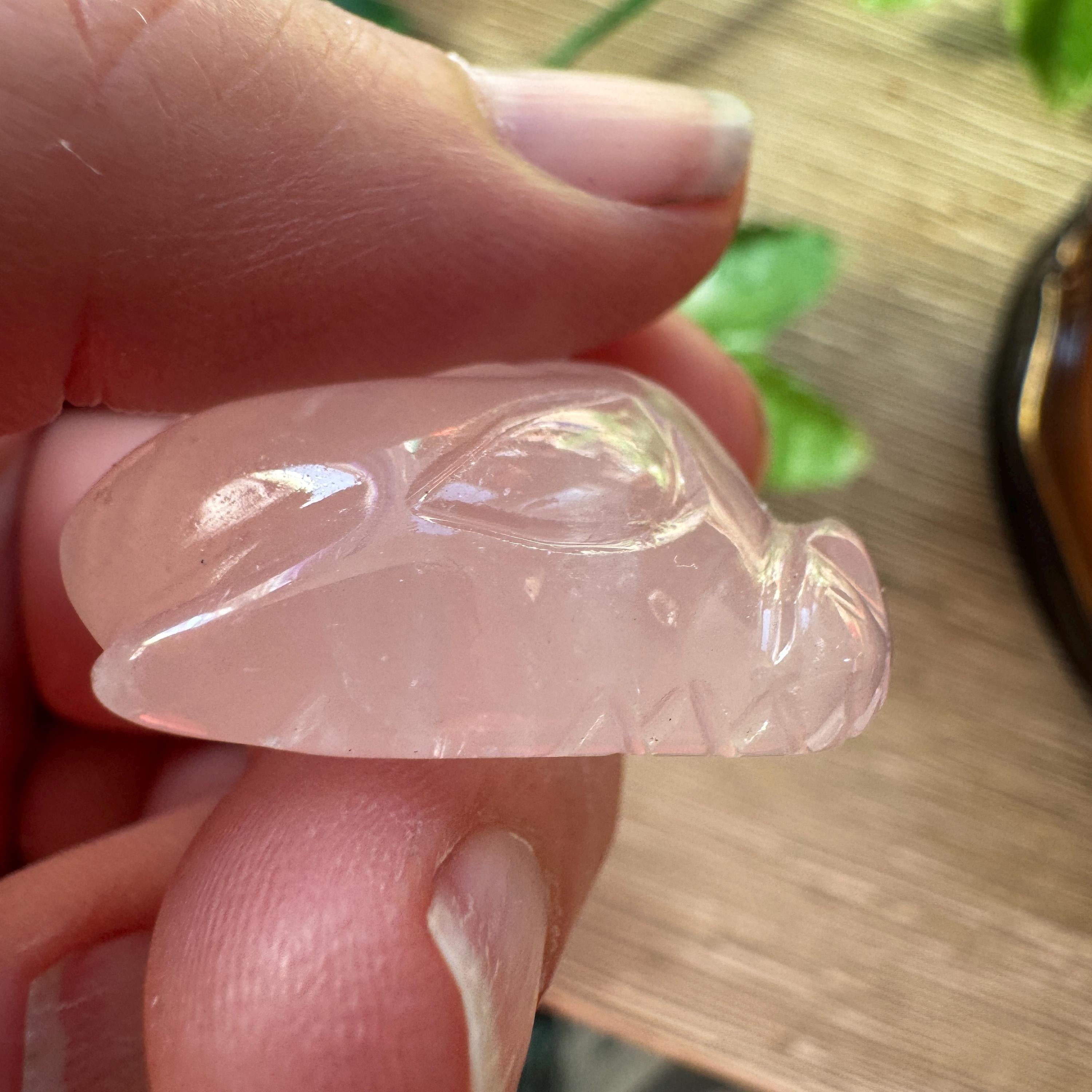 Tiny Rose Quartz Leandro De Souza Dragon Skull
