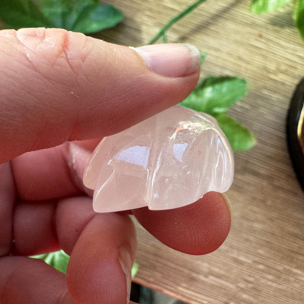 Tiny Rose Quartz Leandro De Souza Dragon Skull