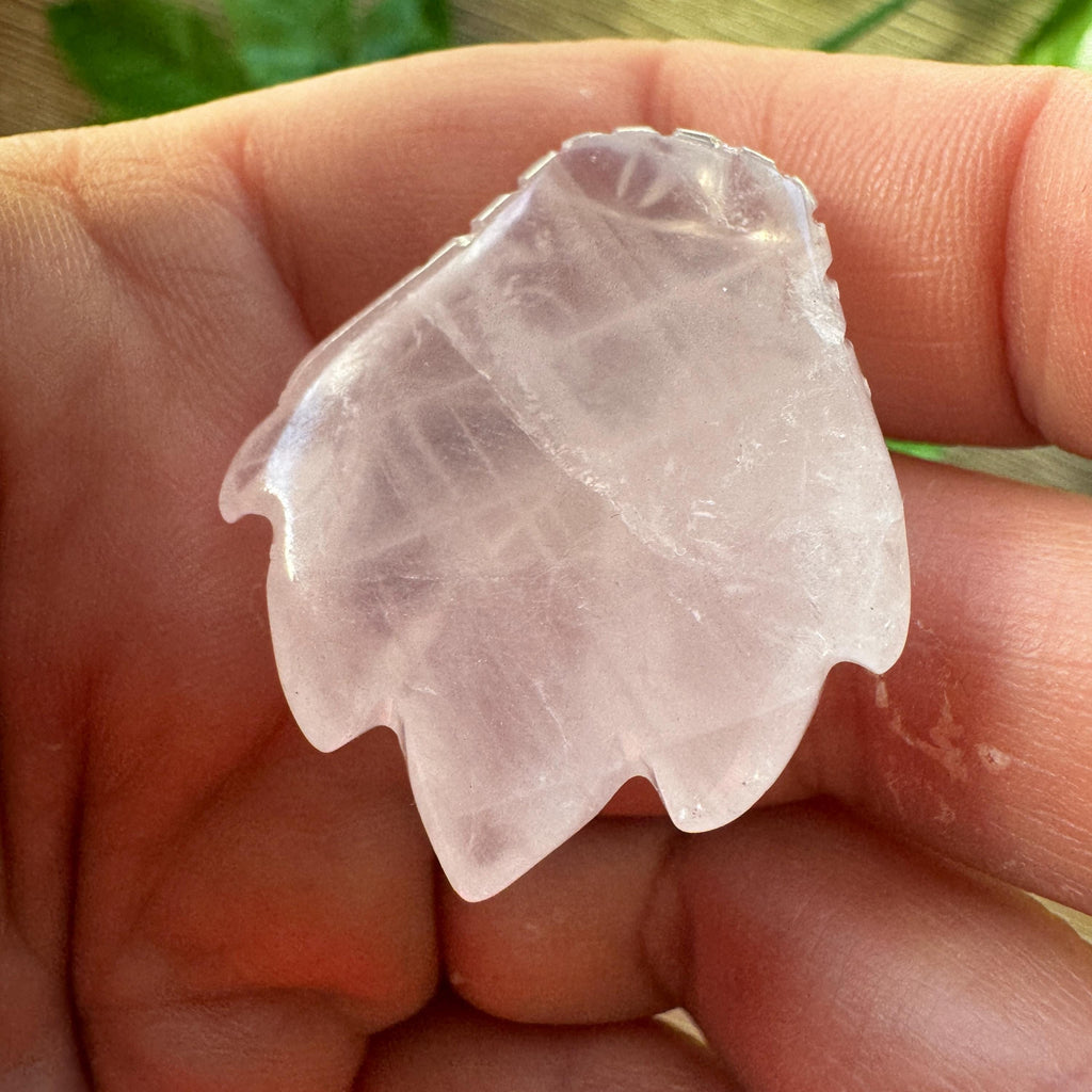 Tiny Rose Quartz Leandro De Souza Dragon Skull