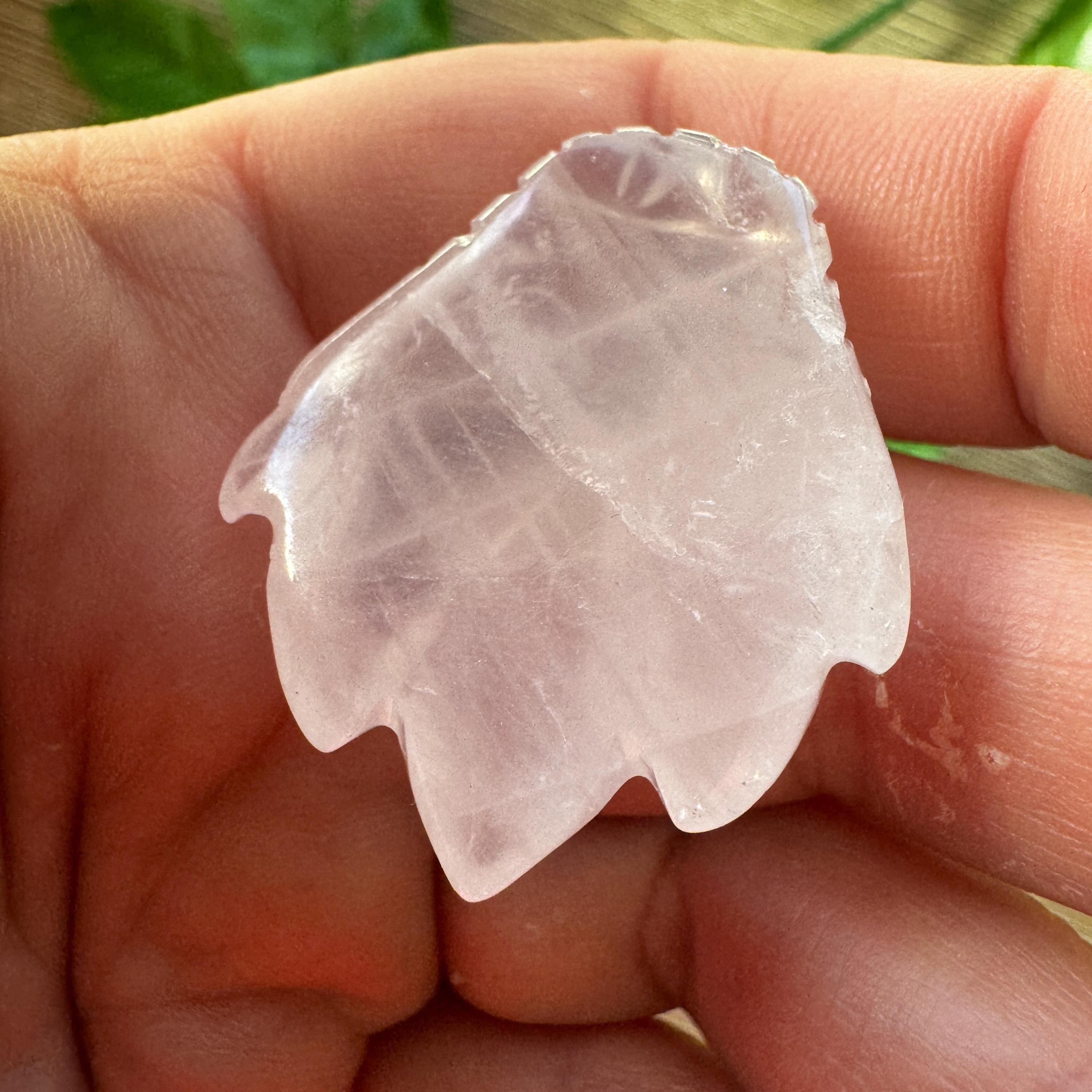 Tiny Rose Quartz Leandro De Souza Dragon Skull