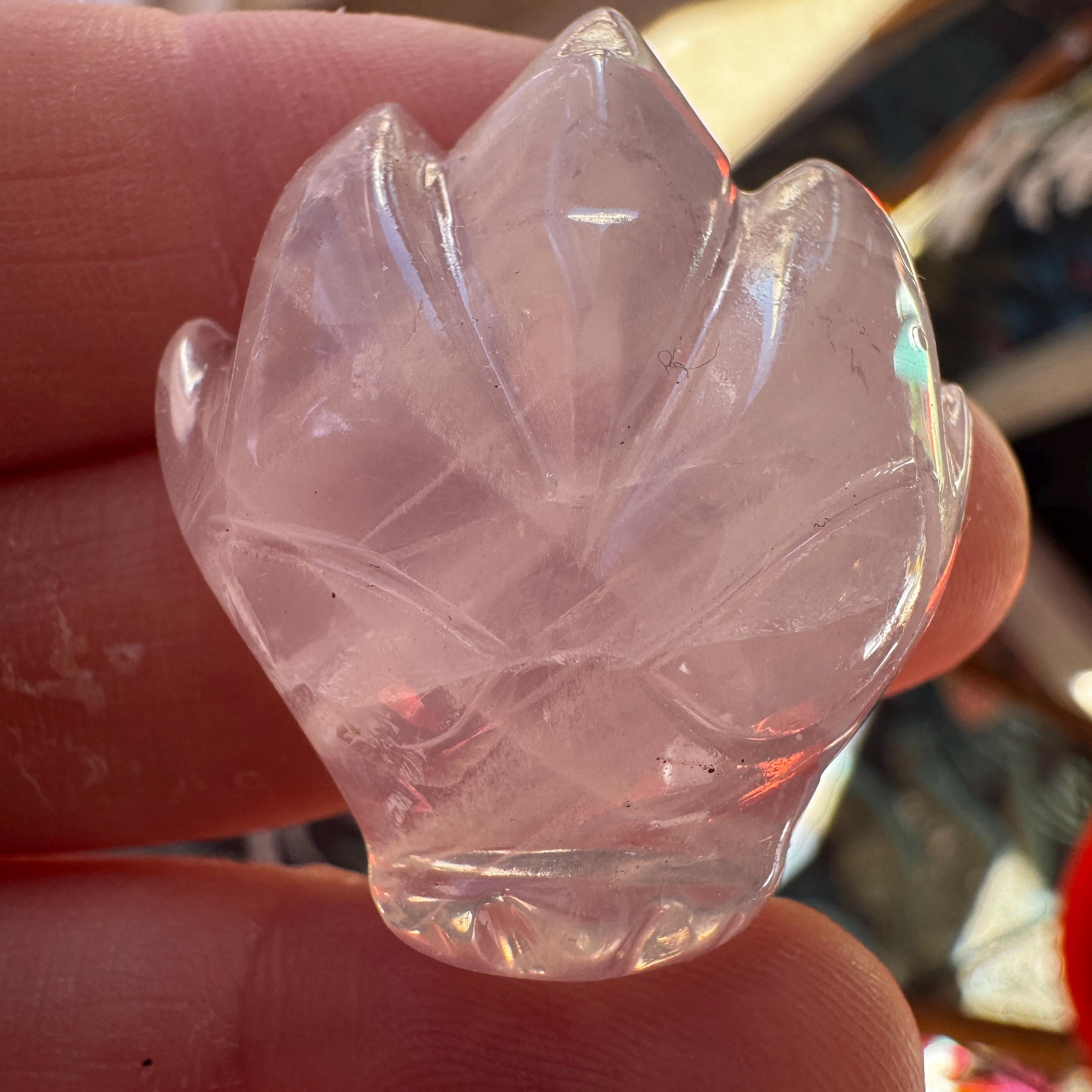 Tiny Rose Quartz Leandro De Souza Dragon Skull