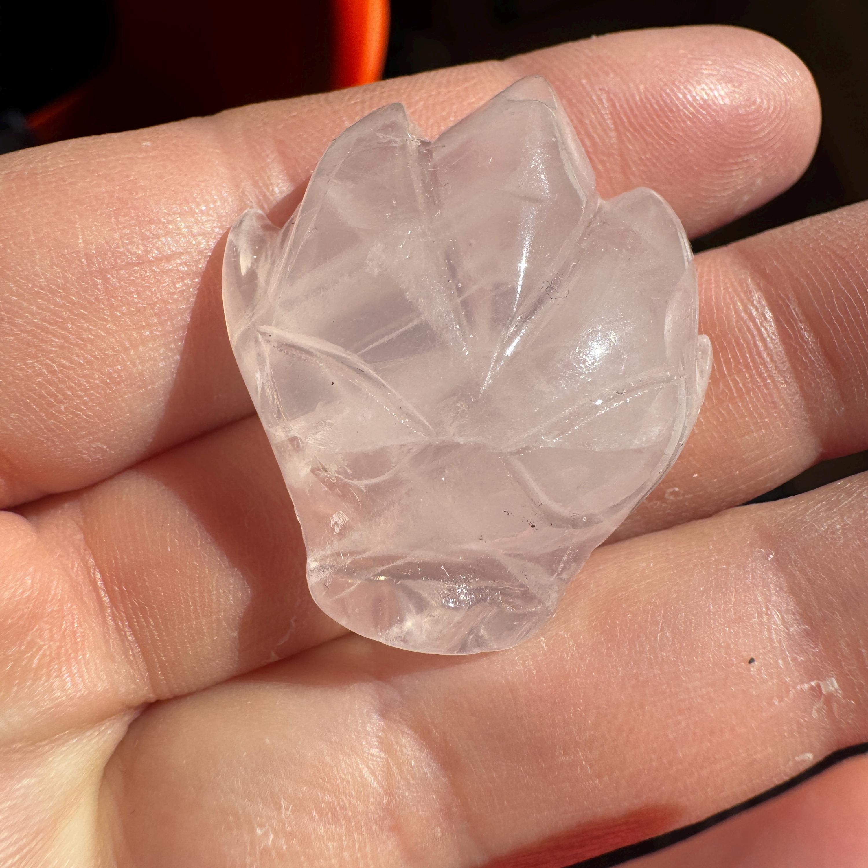 Tiny Rose Quartz Leandro De Souza Dragon Skull