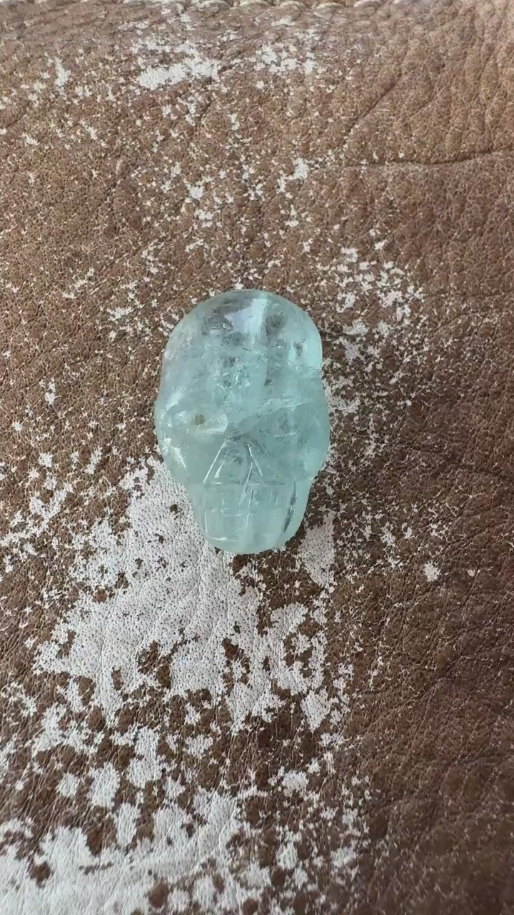 Aquamarine Igor De SouzaTiny Crystal Palm Skull