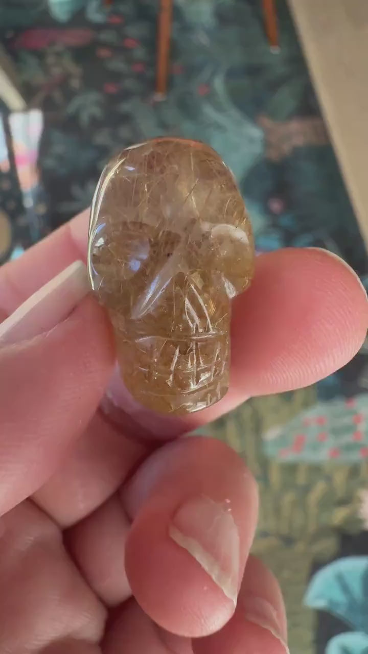 Golden Rutile Igor De Souza Crystal Skull