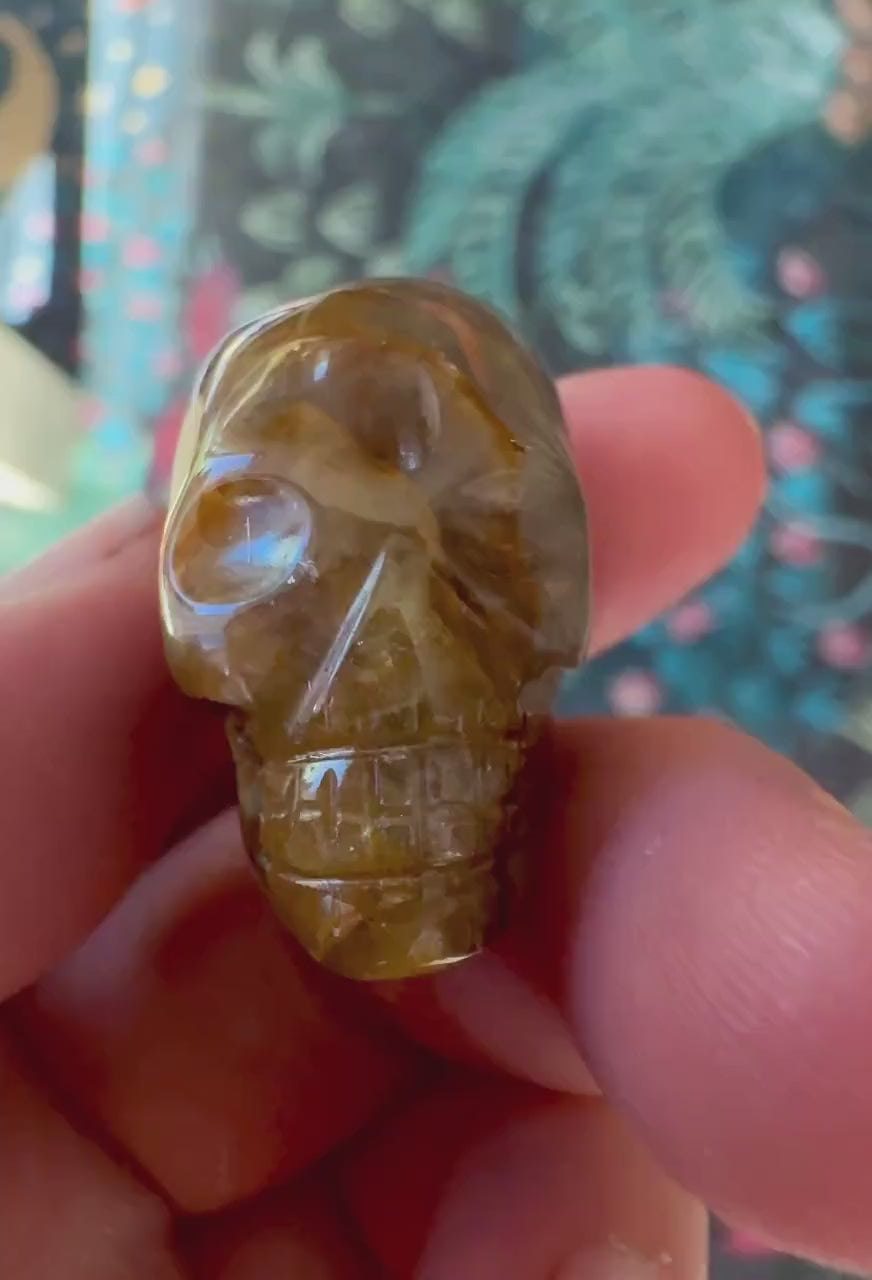 Iron Included Quartz Igor De Souza Crystal Skull