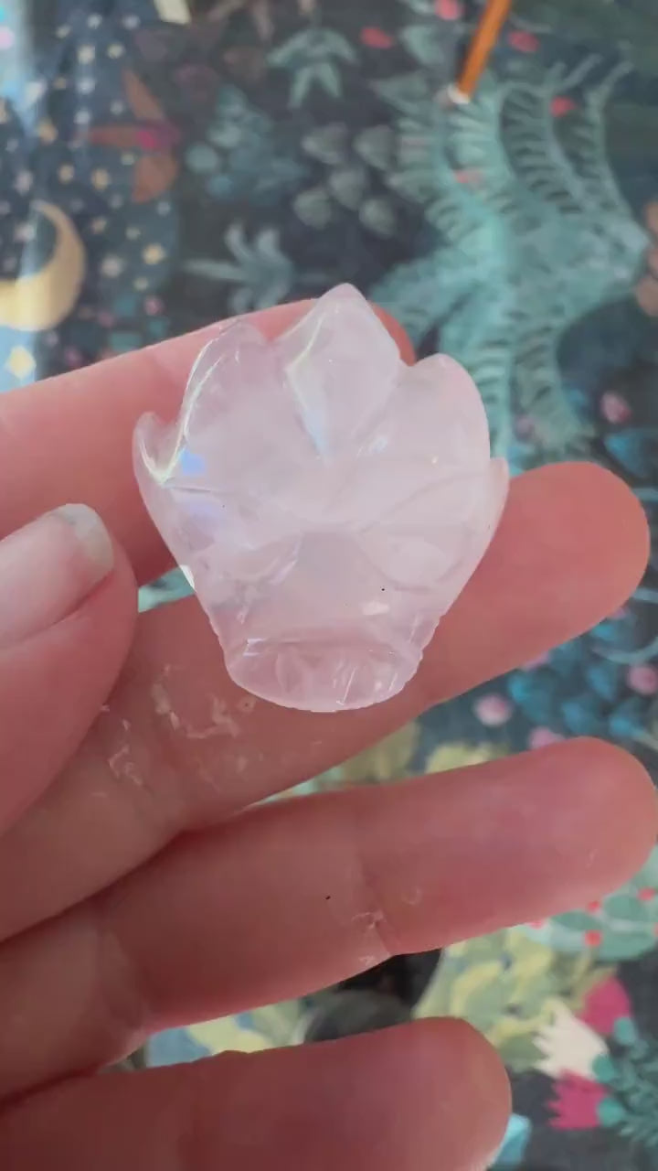 Tiny Rose Quartz Leandro De Souza Dragon Skull